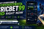 Why Everyone Is Searching for Cricbet99 ID Right Now